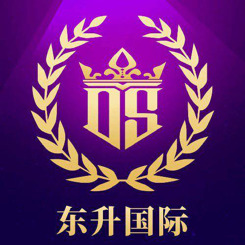 东升国际